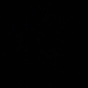 trade with @samsaralui